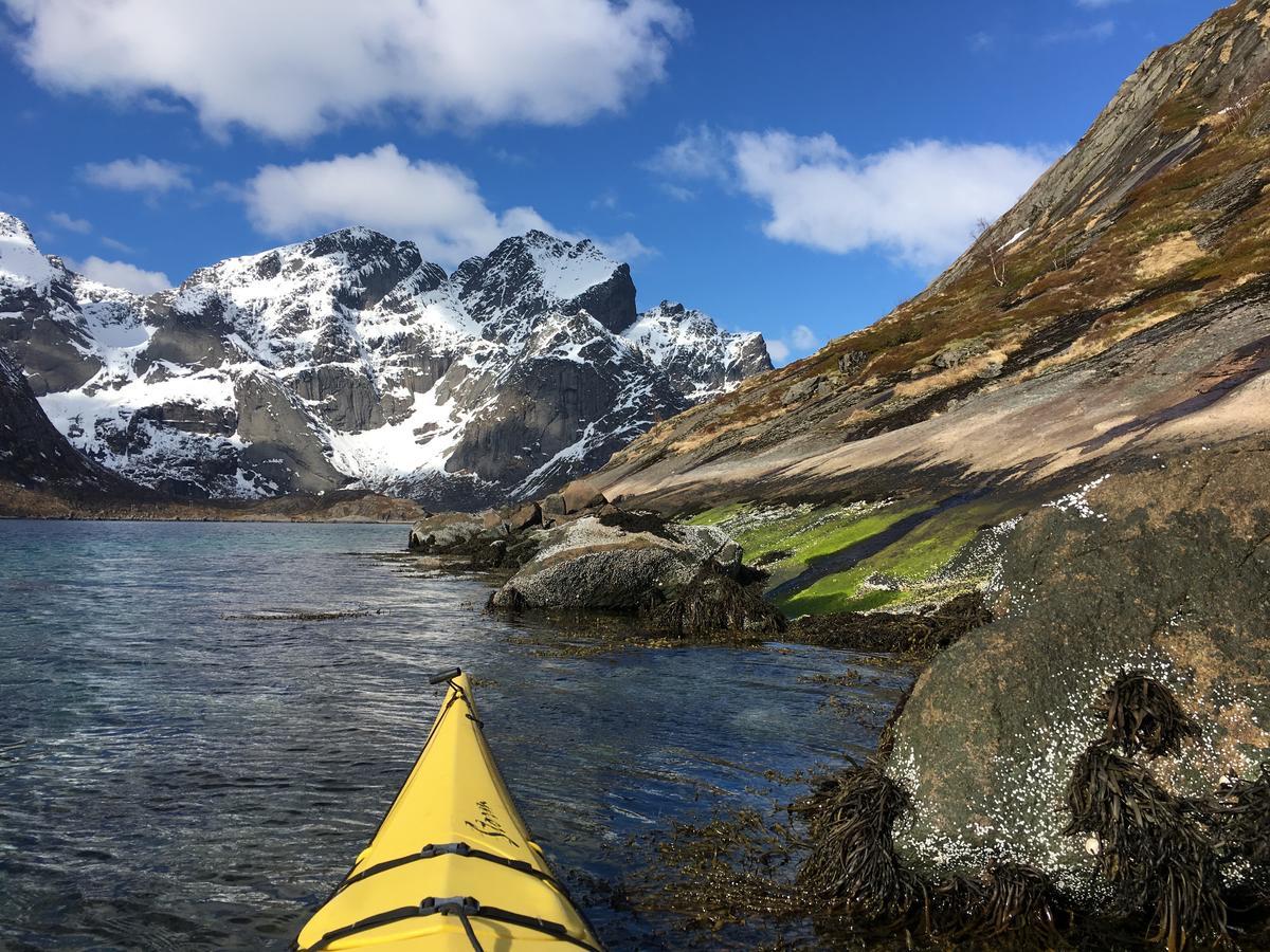 Lofoten Planet - Boutique